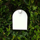 Molly-Ann Leikin custom writing services email